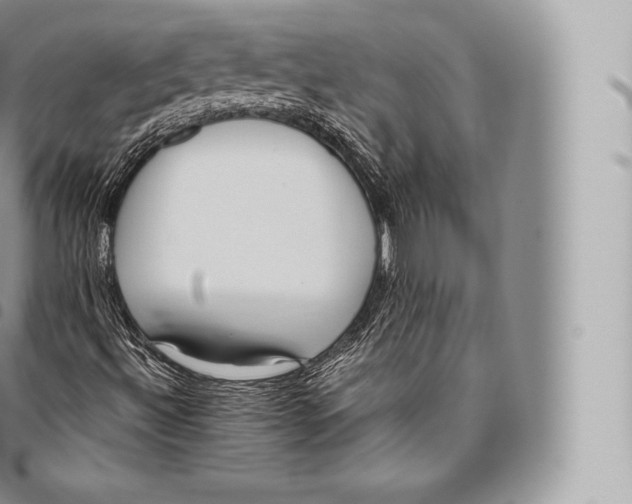 X0000096491492200802141733