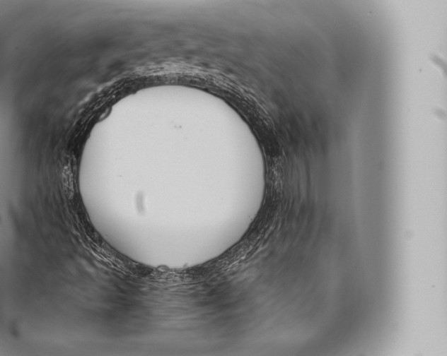 X0000096491493200802141733