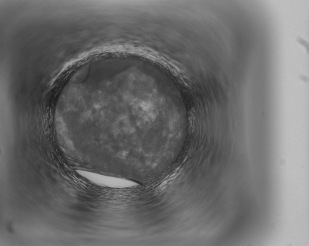 X0000096491494200802141733