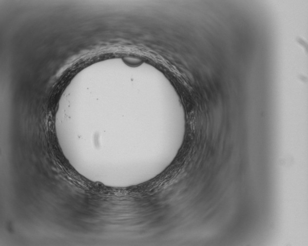 X0000096491495200802141733