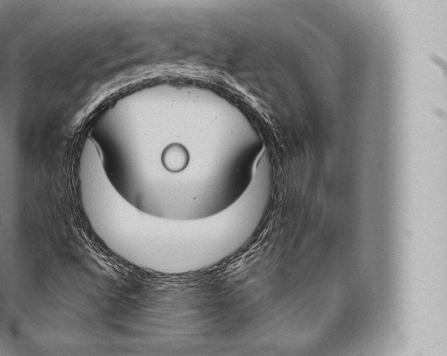 X0000096491496200802141733