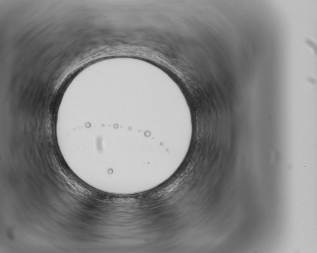 X0000096491498200802141733