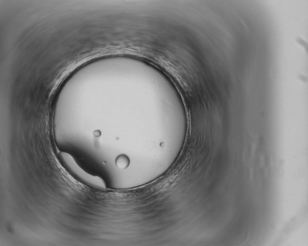 X0000096491500200802141733