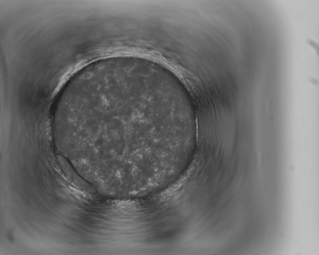 X0000096491501200802141733