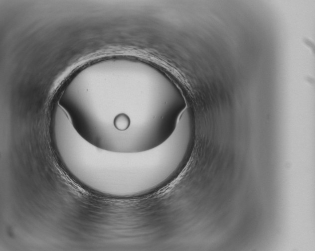 X0000096491502200802141733