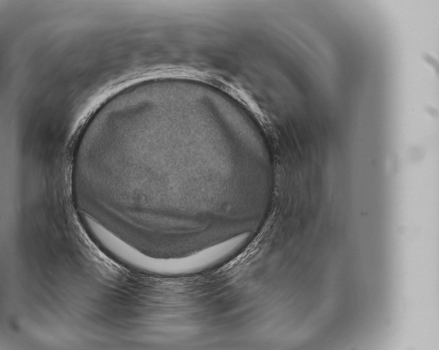 X0000096491504200802141733