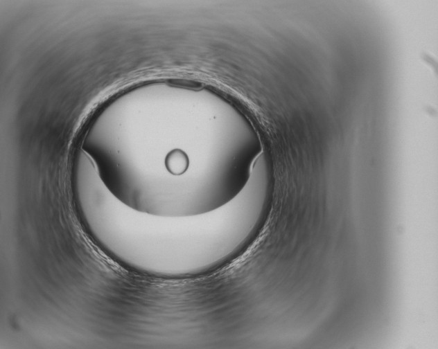 X0000096491506200802141733