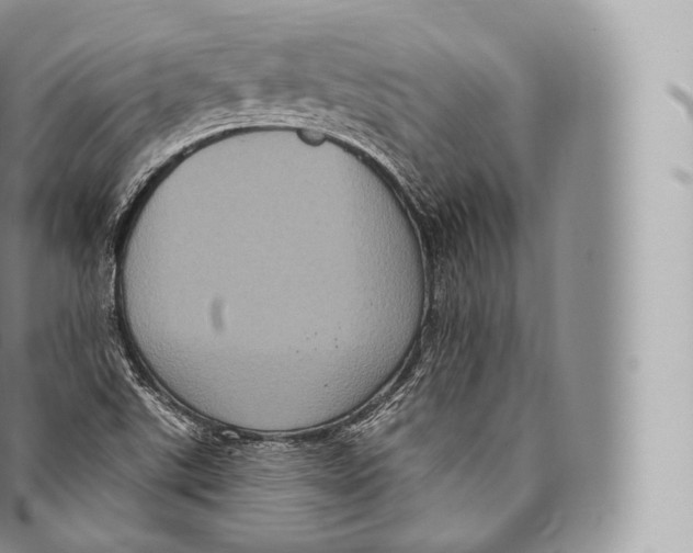 X0000096491507200802141733