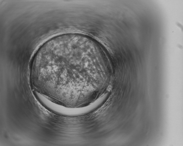 X0000096491508200802141733