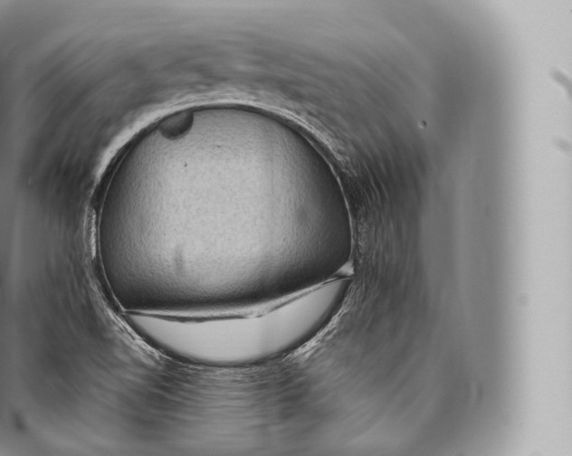 X0000096491510200802141733