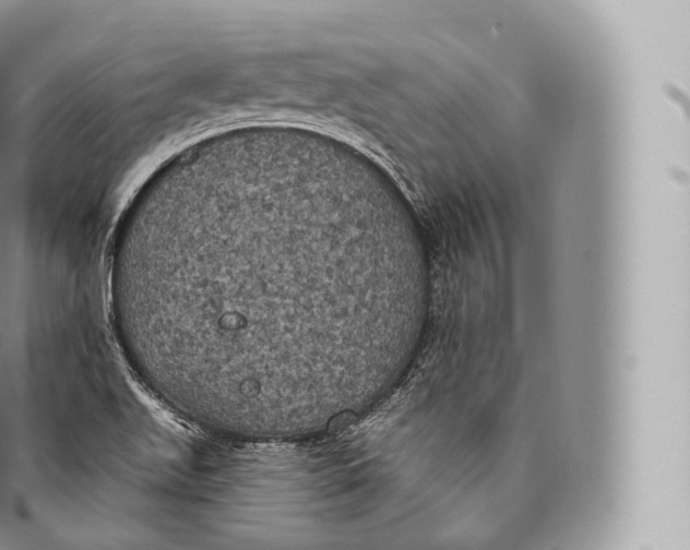 X0000096491511200802141733