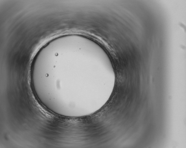 X0000096491512200802141733