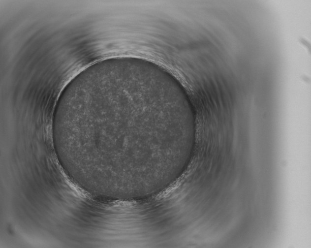 X0000096491513200802141733