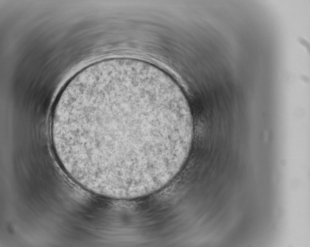 X0000096491514200802141733