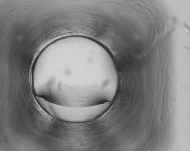 X0000096491516200802141733