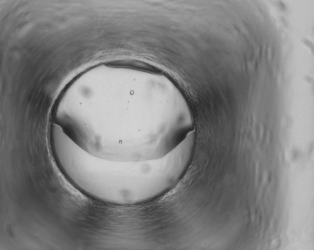 X0000096491518200802141733