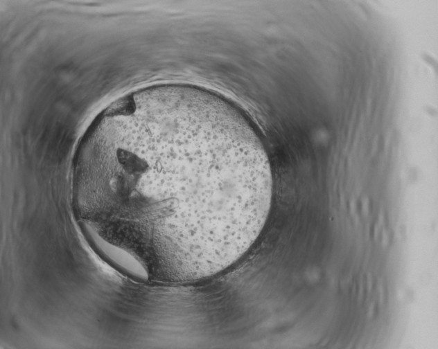 X0000096491519200802141733