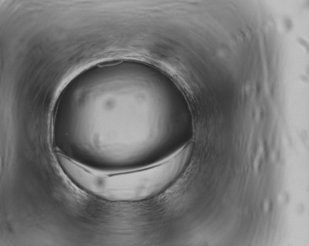 X0000096491520200802141733