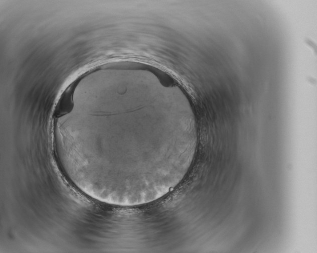 X0000096491522200802141733