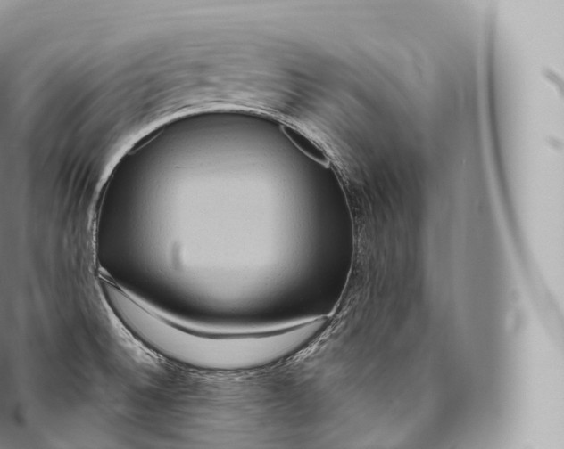 X0000096491524200802141733