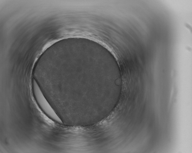 X0000096491525200802141733