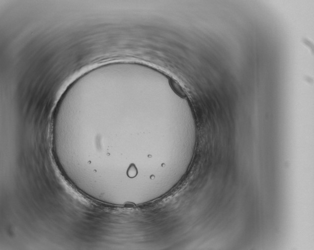 X0000096491526200802141733