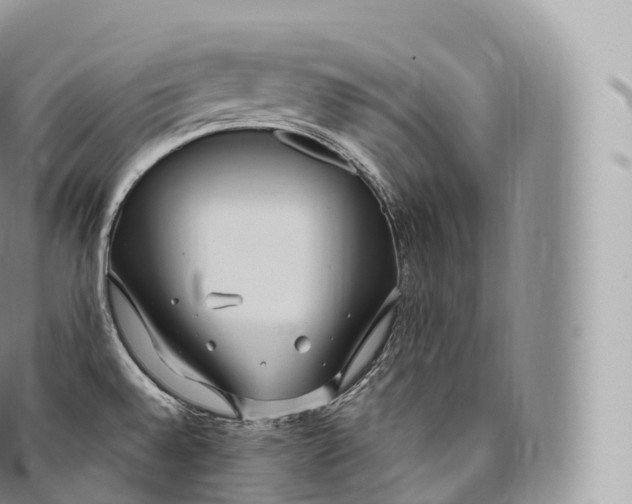 X0000096491528200802141733