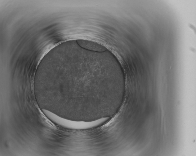 X0000096491529200802141733