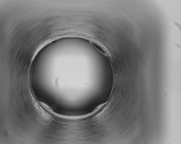 X0000096491530200802141733