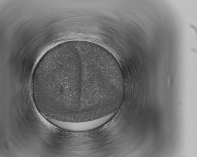 X0000096491531200802141733