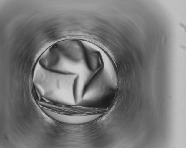 X0000096491533200802141733