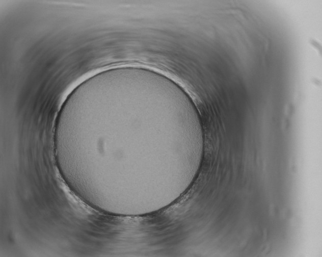 X0000096491534200802141733