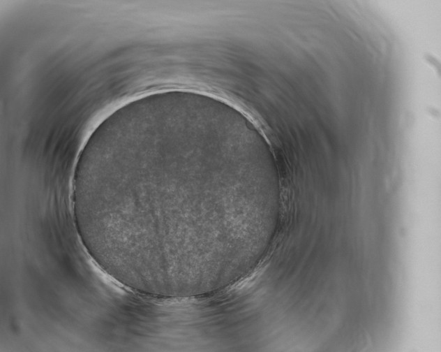 X0000096491535200802141733