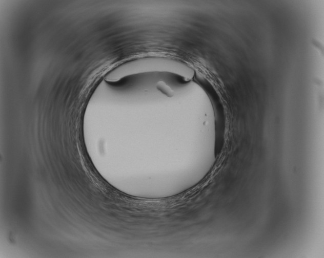 X0000096490001200802211248