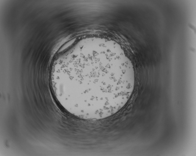 X0000096490003200802211248