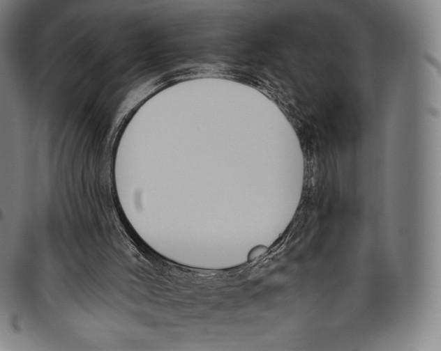 X0000096490004200802211248