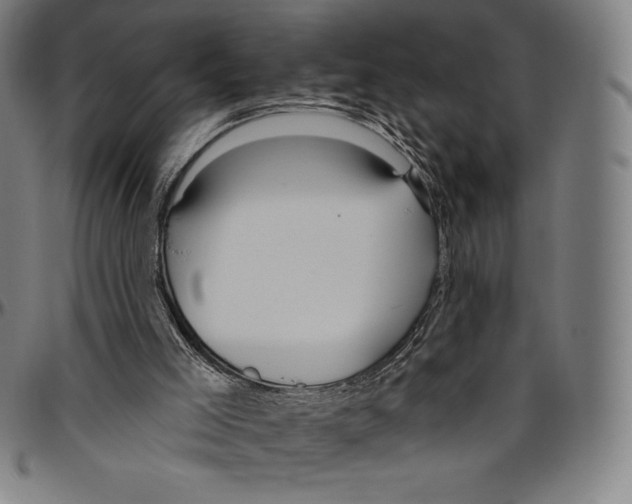 X0000096490005200802211248