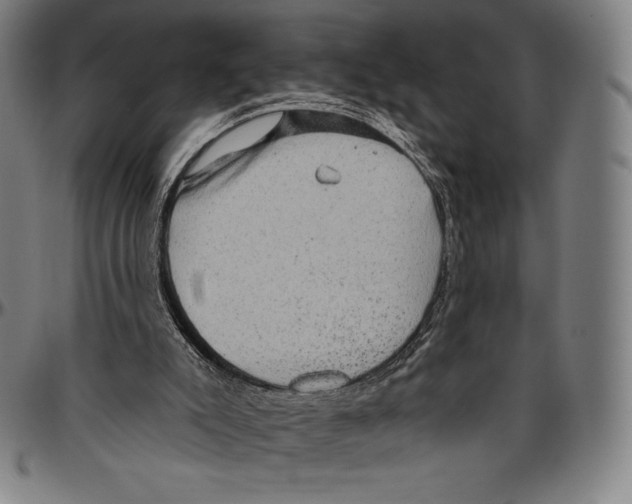 X0000096490007200802211248