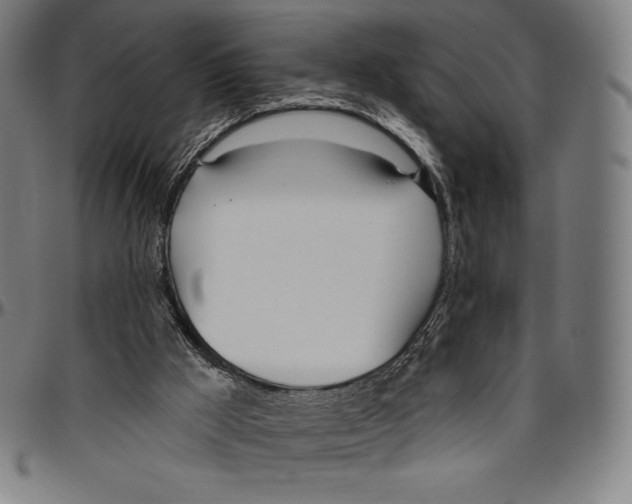 X0000096490009200802211248