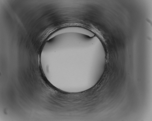 X0000096490013200802211248