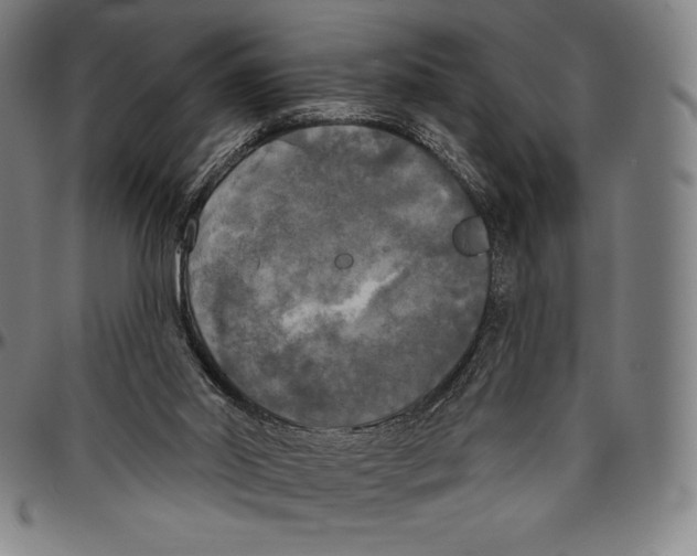 X0000096490014200802211248