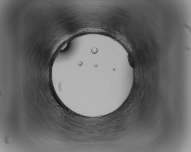 X0000096490015200802211248