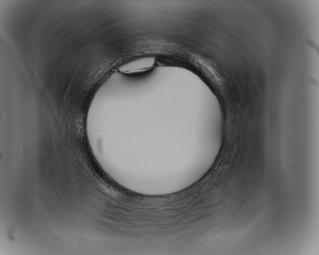 X0000096490017200802211248