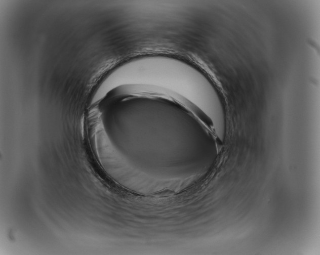 X0000096490019200802211248