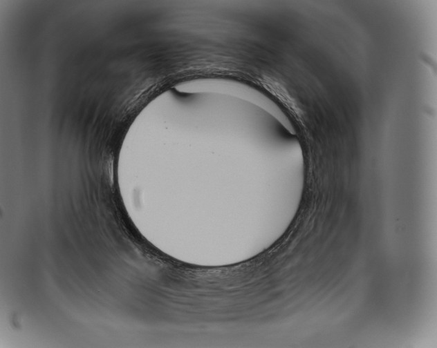 X0000096490021200802211248