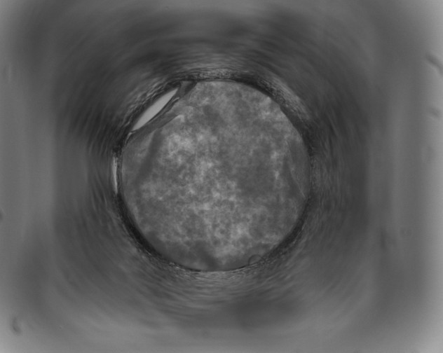 X0000096490022200802211248