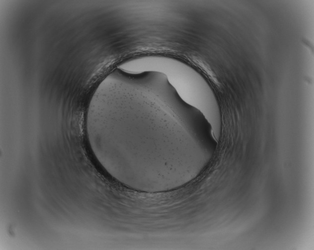 X0000096490023200802211248