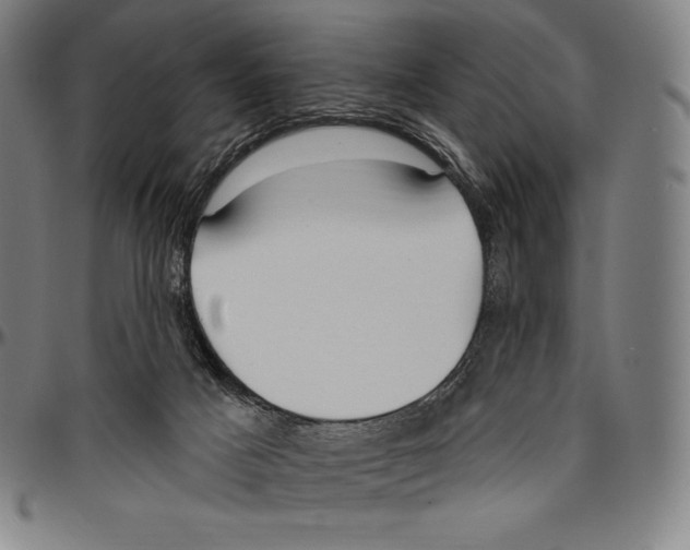 X0000096490025200802211248