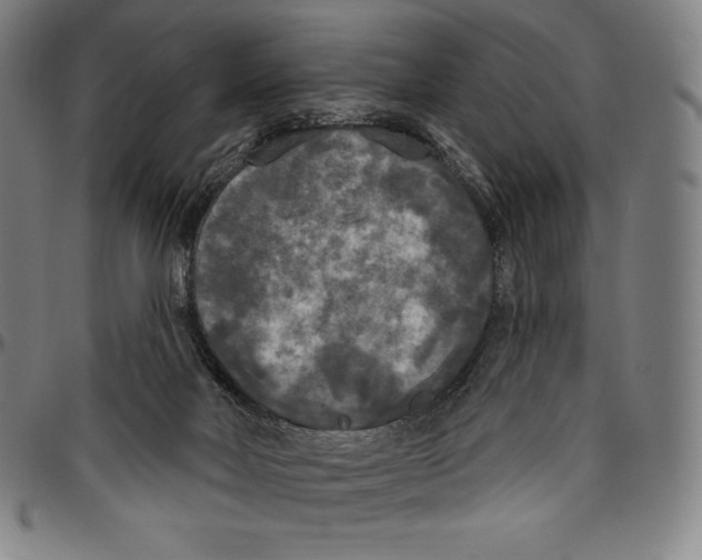 X0000096490026200802211248