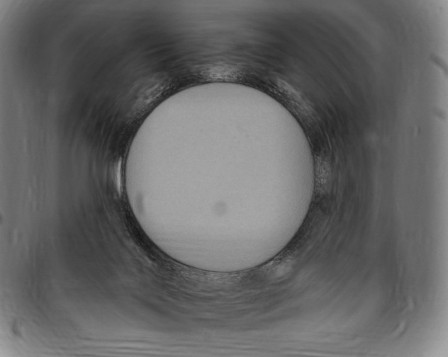 X0000096490028200802211248